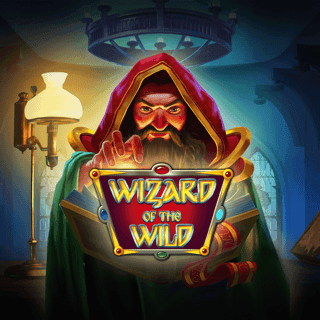 Wizard 013e772c73a62e02d.png